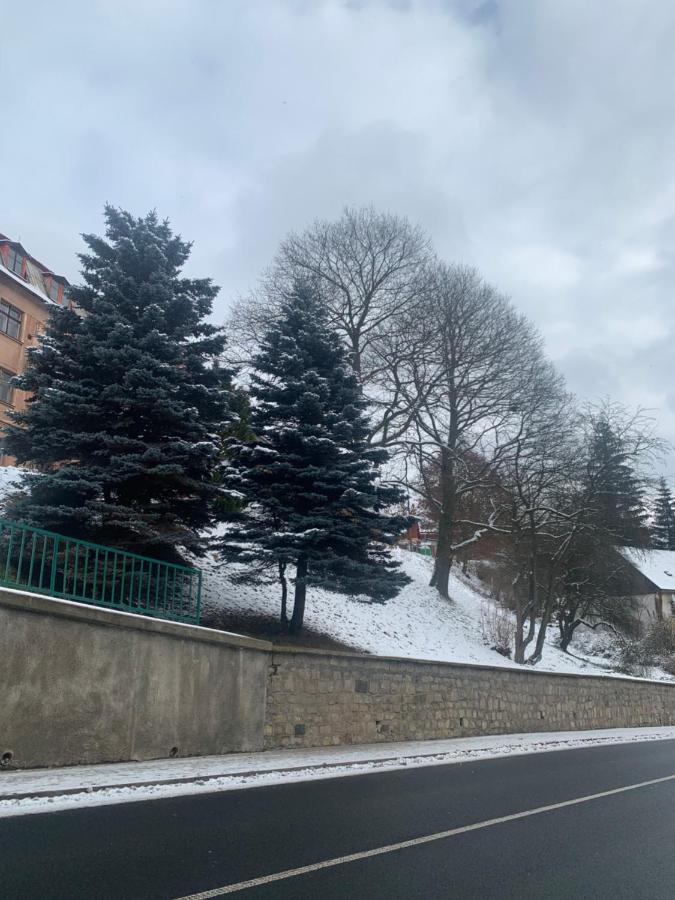 Apartman V Krusnych Horach-Free Parking Jáchymov Exteriér fotografie